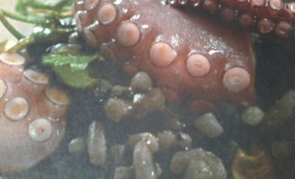 Receita – Arroz de Polvo