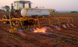 Um livro grátis para ensinar o produtor a controlar o ataque de plantas daninhas sem usar agroquímicos