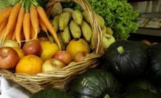 Semana dos Orgânicos chama atenção para o crescimento do setor no Brasil