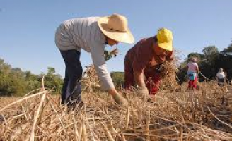 Hoje é dia do Trabalhador e da Trabalhadora Rural