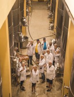 Uma experiência inesquecível para os amantes do vinho