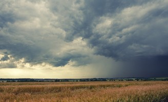Produtores brasileiros economizam R$ 16,8 bilhões com o Zoneamento de risco climático