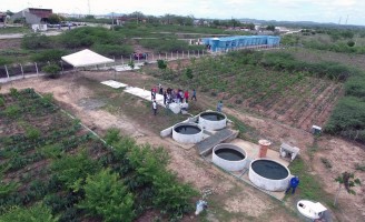 Pernambuco sai na frente para viabilizar a produção de Umbu usando água de esgoto