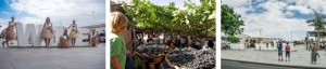 Vinho - festival madeira 1