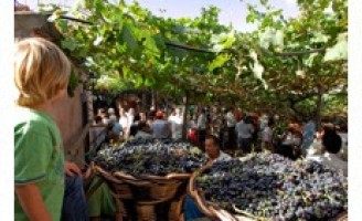 Um festival vai homenagear mais uma vez o Vinho Madeira