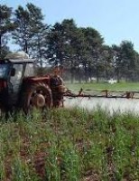 Anvisa vai reclassificar defensivos agrícolas que estão no mercado