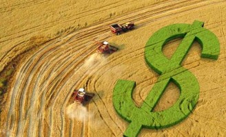 Balanço de financiamento agropecuário constata crescimento nas contratações de crédito rural