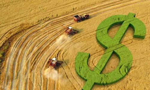 <h2><a href="https://nordesterural.com.br/balanco-de-financiamento-agropecuario-constata-crescimento-nas-contratacoes-de-credito-rural/">Balan&ccedil;o de financiamento agropecu&aacute;rio constata crescimento nas contrata&ccedil;&otilde;es de cr&eacute;dito rural</a></h2>A safra 2019/2020 teve in&iacute;cio com forte aumento das contrata&ccedil;&otilde;es de cr&eacute;dito rural em rela&ccedil;&atilde;o a julho de 2018. O total financiado em julho deste ano foi de R$ 16,5