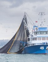Mais tempo para a validade das autorizações de pesca no Brasil