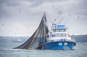 barco pesqueiro