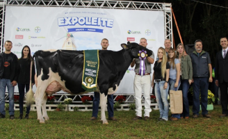 As vacas campeãs da 47ª Expoleite
