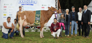 campeã do expoleite 2