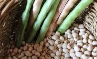 Saiu a lista dos produtos da agricultura familiar com descontos para o mês de agosto
