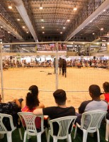 Atenção especial ao visitante garante sucesso do primeiro dia da Agrinordeste