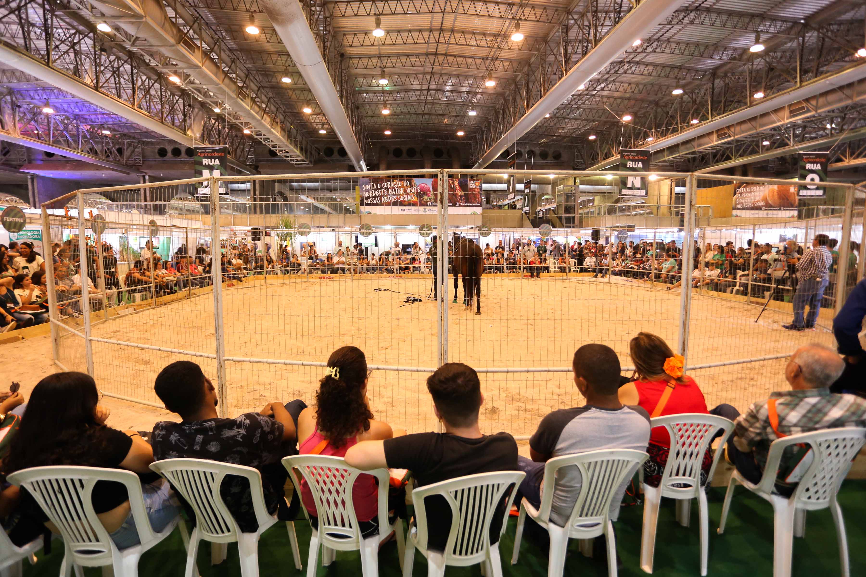 Atenção especial ao visitante garante sucesso do primeiro dia da Agrinordeste
