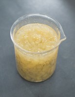 Hidrogel com base na nanotecnologia libera água e nutrientes gradualmente na lavoura
