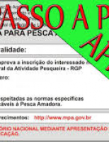 Licenças de pesca profissionais irregulares são canceladas pelo Ministério
