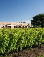 Indicação de passeios com degustação de vinhos e boa hospedagem nas vinícolas uruguaias