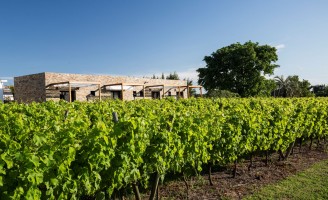 Indicação de passeios com degustação de vinhos e boa hospedagem nas vinícolas uruguaias