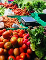 Técnicos do Ministério da Agricultura começam a rastrear a qualidade de frutas e vegetais