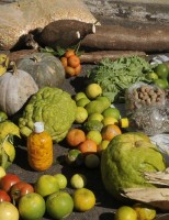Agricultura familiar movimenta a economia no Brasil