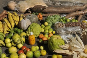 agricultura_familiar