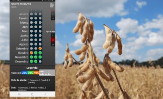 Agricultor tem ajuda de um aplicativo para semear no momento certo