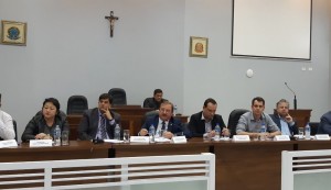audiência pública