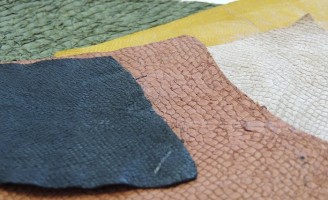 Curso para ensinar a curtir o couro de tambaqui
