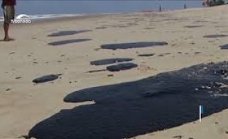 Pescadores artesanais afetados por vazamento de óleo podem receber seguro defeso