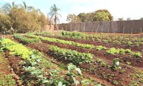 <h2><a href="https://nordesterural.com.br/horta-comunitaria-e-inaugurada-por-criancas-de-uma-creche/">Horta comunit&aacute;ria &eacute; inaugurada por crian&ccedil;as de uma creche</a></h2>A horta Cores e Sabores vai produzir alimentos para um grupo de 180 crian&ccedil;as da regi&atilde;o do bairro do Jardim Ip&ecirc;, no extremo sul de S&atilde;o Paulo. O Projeto &eacute;