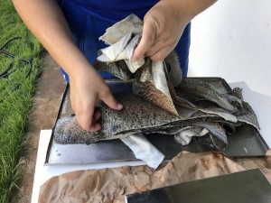 Pele de peixe
