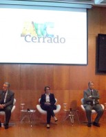 Trabalho cuidadoso recupera 93 mil hectares de áreas degradadas no cerrado brasileiro