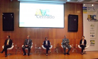 Trabalho cuidadoso recupera 93 mil hectares de áreas degradadas no cerrado brasileiro