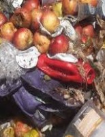 Atenção para o desperdício de alimentos no mundo