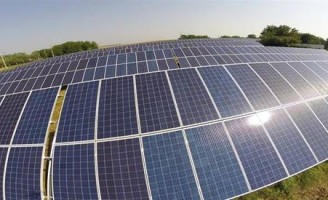 Caatinga pode se tornar solução produtiva diante da mudança do clima