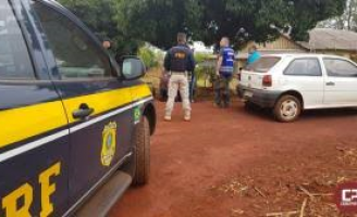 Mais de 6 toneladas de agrotóxicos ilegais foram apreendidas no Paraná