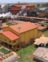 Usina alagoana ganha referência internacional de produção sustentável de açúcar e etanol