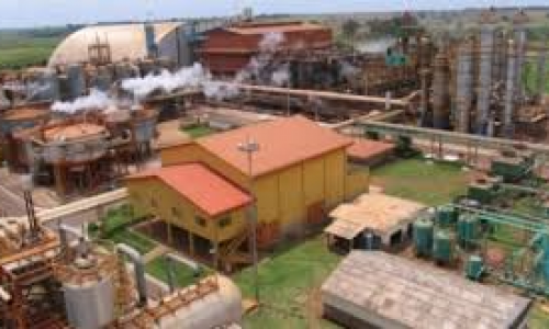 Usina alagoana ganha referência internacional de produção sustentável de açúcar e etanol