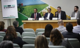 Emergências veterinárias terão atendimento diferenciadas no ano que vem