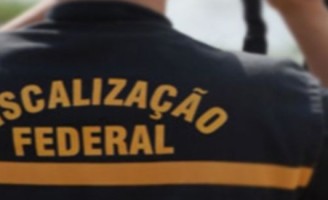 Auditores Fiscais Federais Agropecuários recomendam cuidados para comprar alimentos para a ceia do fim do ano