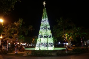 luzes gravatá - árvore na praça