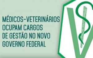 médico veterinário
