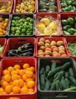 Governo garante: vegetais comercializados no Brasil são seguros para consumo