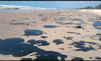 Divulgados os novos resultados dos efeitos do óleo derramado nas praias do Nordeste