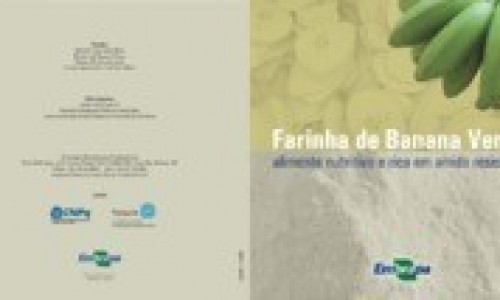 Dieta da população brasileira ganha farinha rica em amido feita com banana-verde