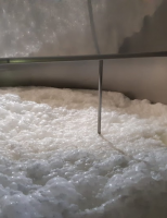 Produtores de São Paulo conseguem se credenciar para produzir leite de búfala orgânico