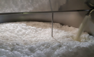 Produtores de São Paulo conseguem se credenciar para produzir leite de búfala orgânico