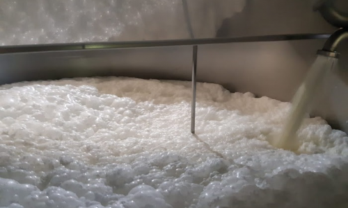 <h2><a href="https://nordesterural.com.br/produtores-de-sao-paulo-conseguem-se-credenciar-para-produzir-leite-de-bufala-organico-2/">Produtores de S&atilde;o Paulo conseguem se credenciar para produzir leite de b&uacute;fala org&acirc;nico</a></h2>Um rigoroso processo de acompanhamento t&eacute;cnico, documental e de inspe&ccedil;&atilde;o concluiu que duas propriedades do munic&iacute;pio de Sarapu&iacute;, na regi&atilde;o de Itapetininga, em S&atilde;o Paulo, est&atilde;o aptas a produzir, com