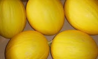 A China vai comprar o melão produzido no Brasil